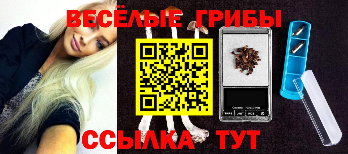 Галлюциногенные грибы Psilocybe  Вход с VPN  наркота  Лянтор  Галлюциногенные грибы GOLDEN TEACHER 